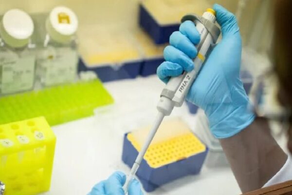 Gene therapy loses luster as investors eye quicker returns from weight-loss drugs