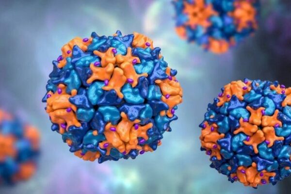 Polio detected in samples collected from 20 districts