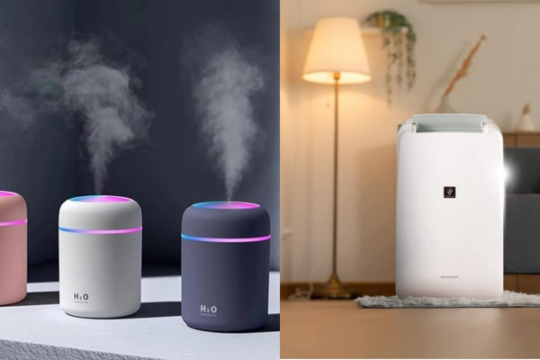 Humidifier vs Dehumidifier: Choosing the right one for comfortable summers based on features, requirements and weather
