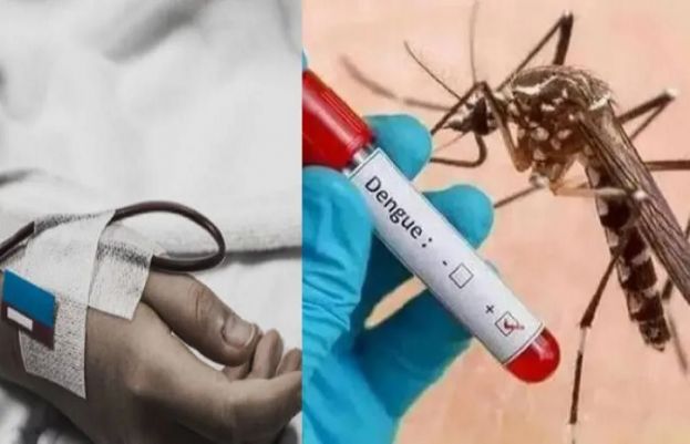 Dengue Cases Spike in Lahore Following Monsoon Showers