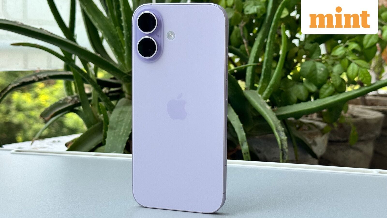 iPhone 17 Review: Apple’s most balanced flagship yet