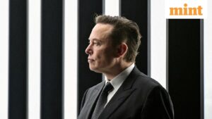 ‘Grokipedia’: Elon Musk says xAI is working on a Wikipedia rival powered by AI