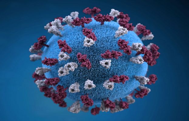 Measles infection in infancy leads to death